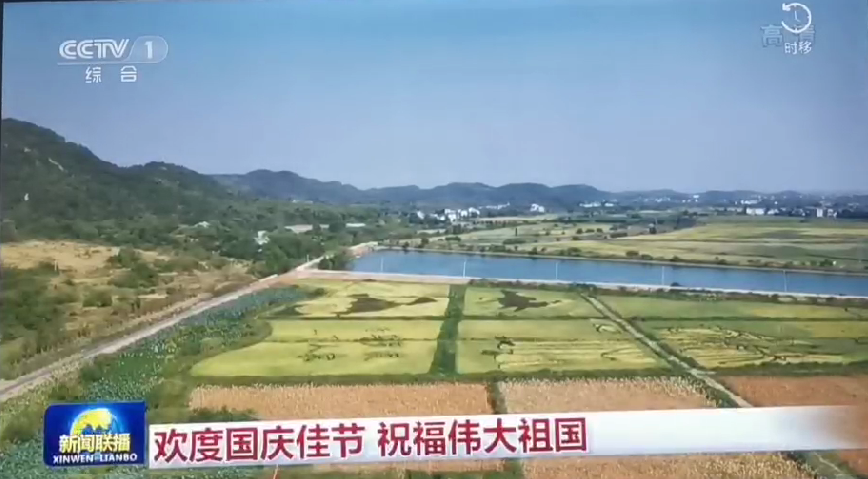 上央视-壹号娱乐五彩稻田画，助力乡村振兴